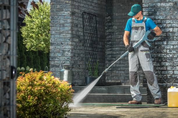 Best Residential House Exterior Washing  in Flat Rock, NC