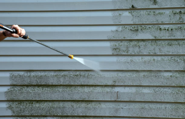 Best Gutter Cleaning  in Flat Rock, NC
